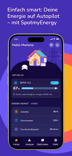 Скриншот 1 — SpotmyEnergy