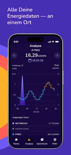 Скриншот 2 — SpotmyEnergy