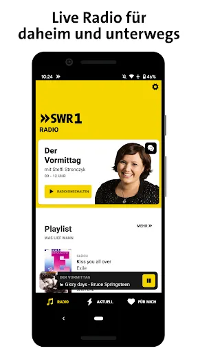 Скриншот 1 — SWR1