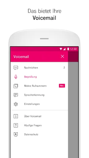 Скриншот 5 — Voicemail