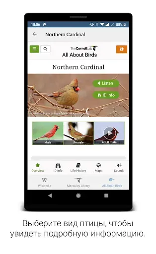 Скриншот 4 — BirdNET