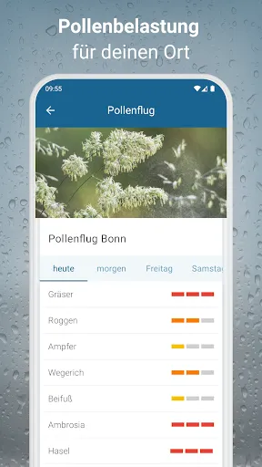 Скриншот 6 — RegenRadar mit Unwetterwarnung
