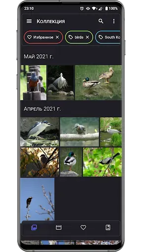 Скриншот 1 — Aves Галерея