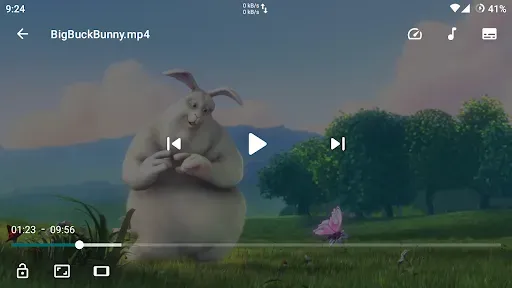 Скриншот 6 — Next Player
