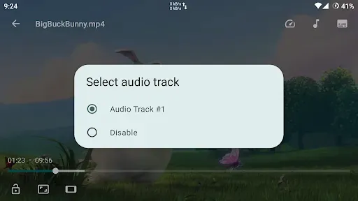 Скриншот 7 — Next Player