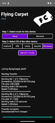 Скриншот 2 — Flying Carpet File Transfer