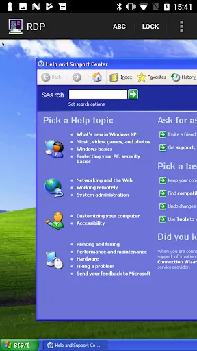 Скриншот 3 — Mocha RDP Lite