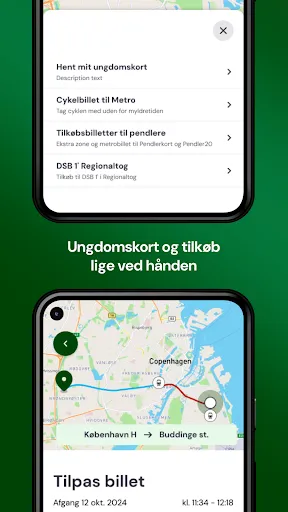 Скриншот 5 — Rejsebillet