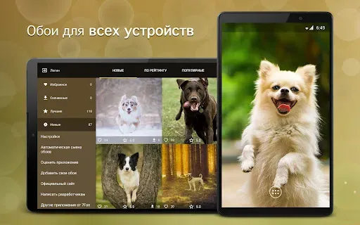 Скриншот 6 — Обои с собаками | Собаки 7Fon