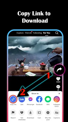 Скриншот 1 — GetTik - Download No Watermark
