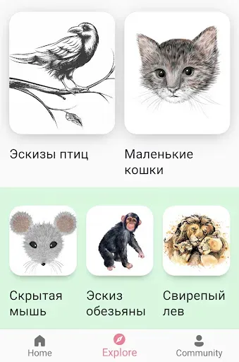 Скриншот 2 — Учитесь рисовать животных