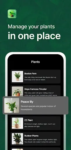 Скриншот 5 — Plant Identifier AI Plant Care