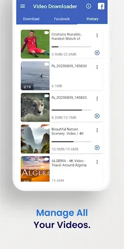 Скриншот 4 — Скачать Видео с Фейсбука