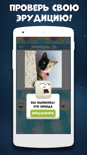 Скриншот 4 — Викторина: игра без интернета