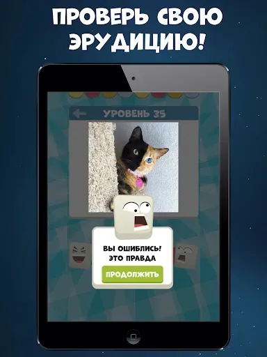 Скриншот 7 — Викторина: игра без интернета