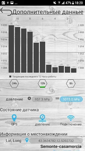 Скриншот 2 — профессиональный барометр