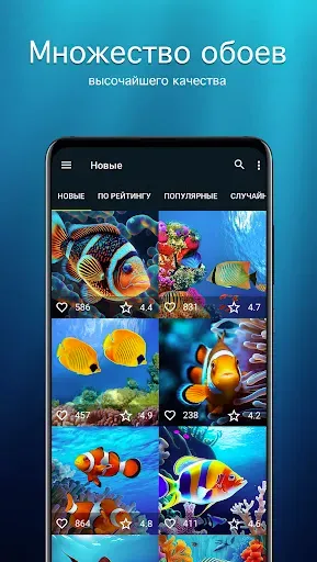 Скриншот 2 — Обои с рыбками | Рыбки от 7Fon