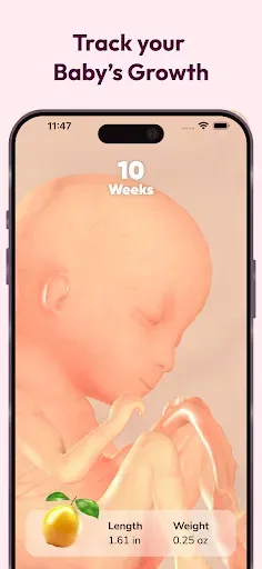 Скриншот 2 — WeMoms Pregnancy Baby Tracker