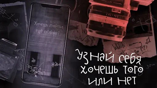 Скриншот 2 — Франц