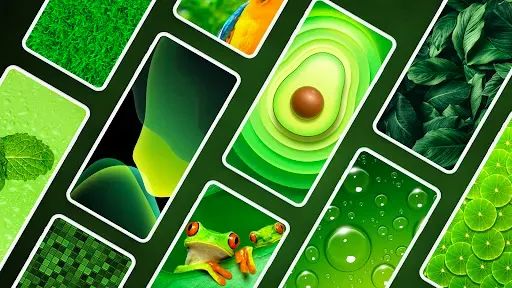 Скриншот 1 — Зелёные обои  PRO