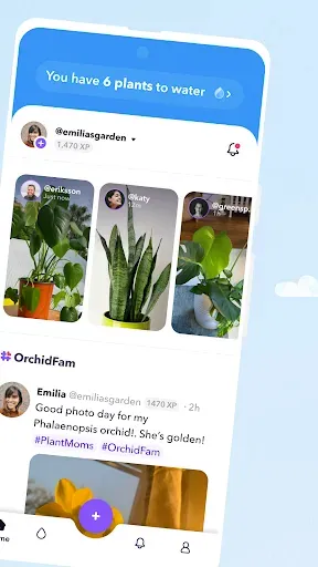Скриншот 2 — Plant Identifier & Care - Greg
