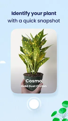Скриншот 3 — Plant Identifier & Care - Greg