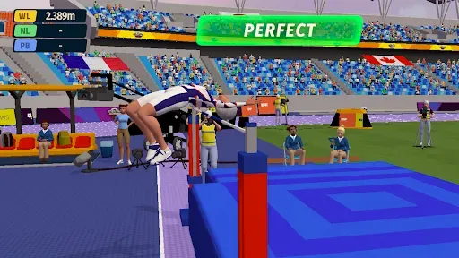 Скриншот 3 — Athletics Championship