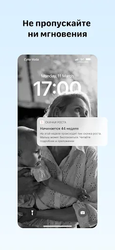 Скриншот 8 — Скачки роста