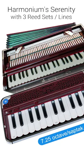 Скриншот 8 — Harmonium 3 Reed