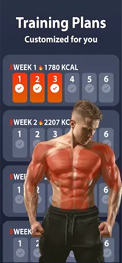 Скриншот 2 — силовые тренировки дома
