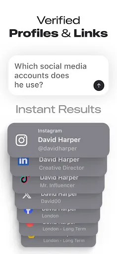 Скриншот 5 — Deepsearch AI Search Assistant