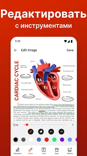 Скриншот 4 — конвертер PDF - фото в пдф