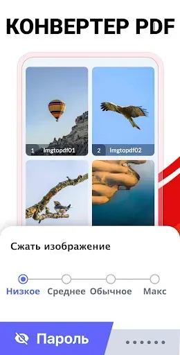 Скриншот 4 — Конвертер PDF - фото в пдф