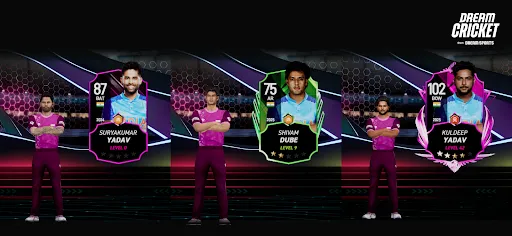 Скриншот 8 — Dream Cricket 2025