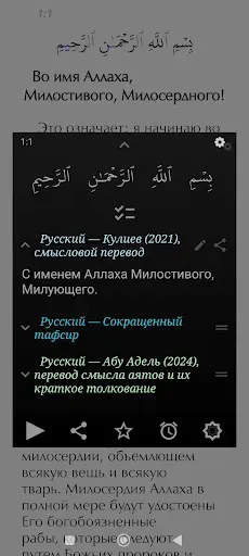 Скриншот 3 — Коран и Сунна облегченная