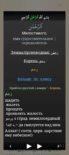 Скриншот 5 — Коран и Сунна облегченная