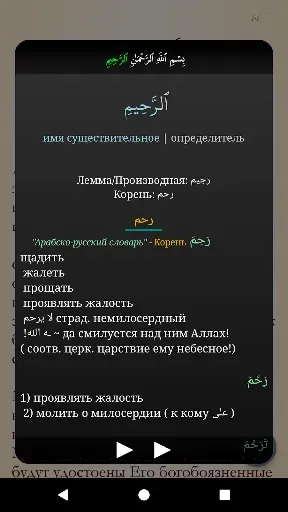 Скриншот 5 — Коран и Сунна