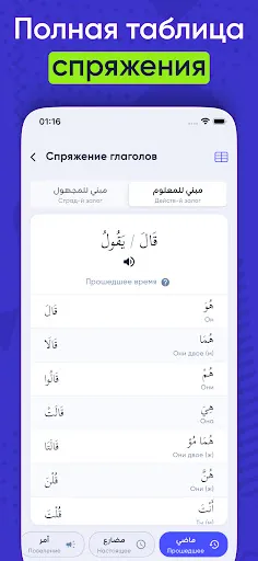 Скриншот 5 — Арабский словарь и спряжение