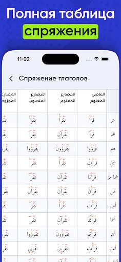 Скриншот 6 — Арабский словарь и спряжение