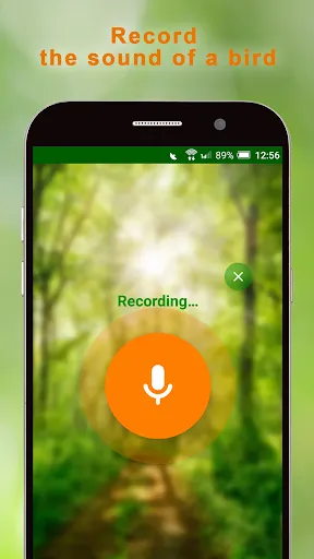 Скриншот 1 — BirdNerd: Bird Song Identifier