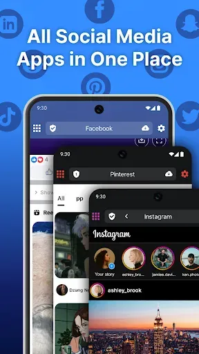 Скриншот 1 — Friendly Social Browser