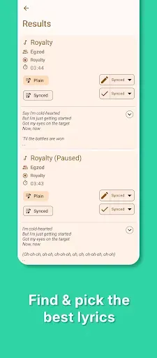 Скриншот 5 — Lyrics for Poweramp