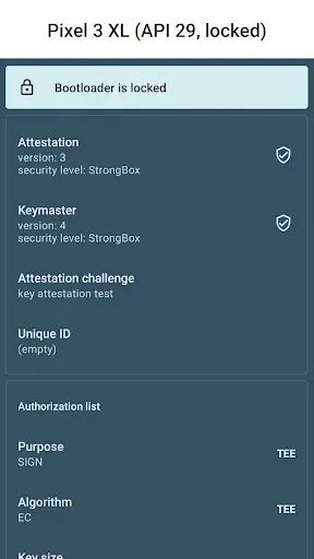 Скриншот 1 — Key Attestation Demo
