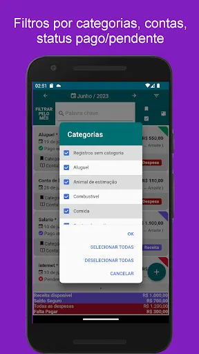 Скриншот 6 — Controle Financeiro Pessoal