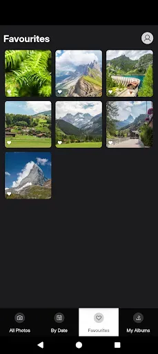 Скриншот 3 — Photo Gallery for Cloud Photos