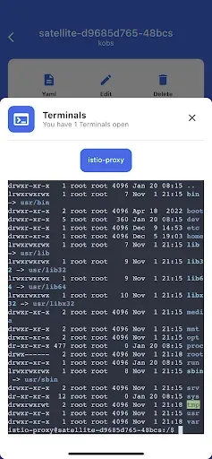 Скриншот 5 — kubenav - Kubernetes Dashboard