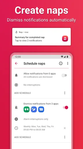 Скриншот 2 — Nap: notification manager