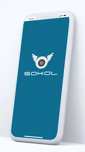 Скриншот 1 — SOKOL sharing