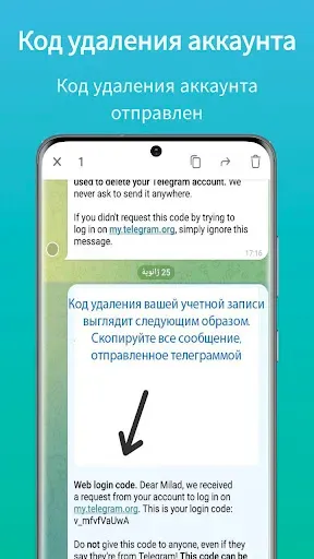 Скриншот 2 — Удалить аккаунт (для Telegram)