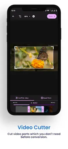 Скриншот 7 — Video Converter